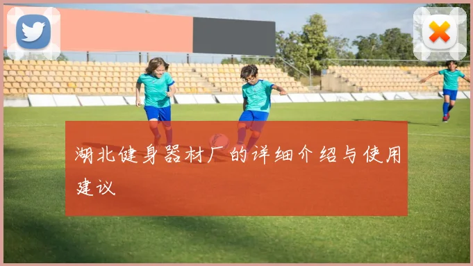 湖北健身器材厂的详细介绍与使用建议